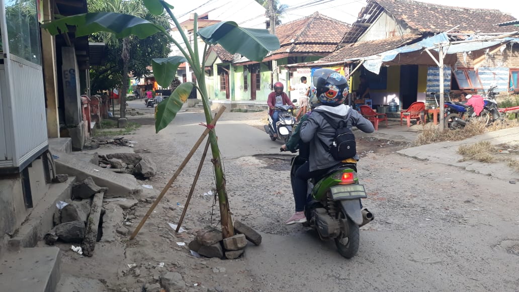 Tanam Pohon Pisang, Menandai Jalan Rusak di Kota Cilegon